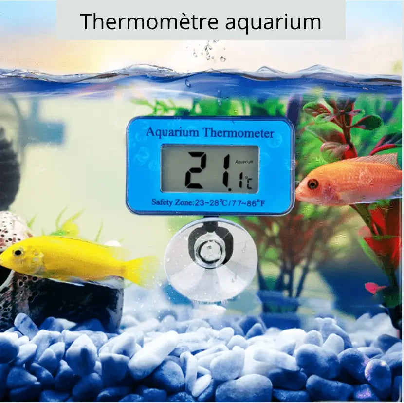 Thermomètre Aquarium Numérique Sans Fil - écran Clair, Haute Précision, Pour Poissons Et Plantes