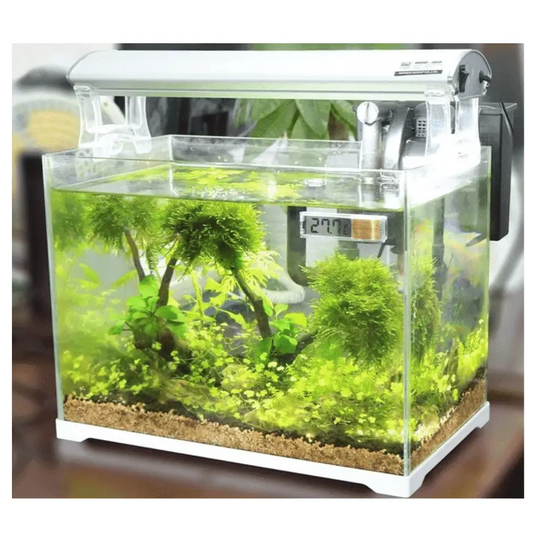 thermometre-aquarium-digital-801