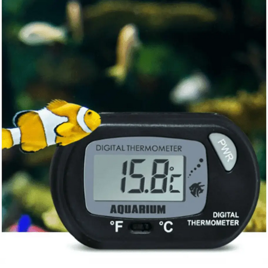 thermometre-aquarium-numerique-891