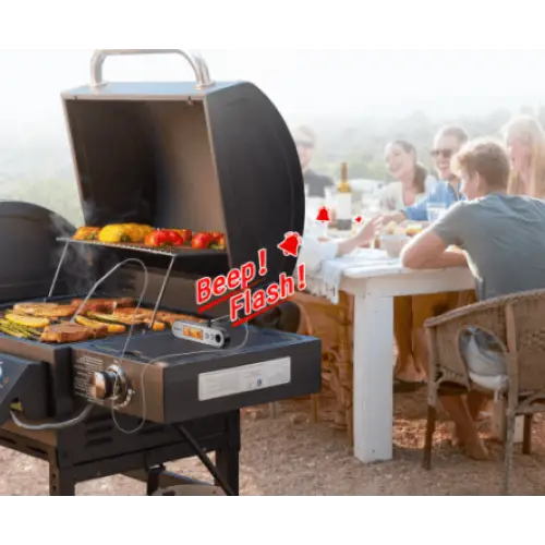 thermometre-barbecue-rechargeable-396