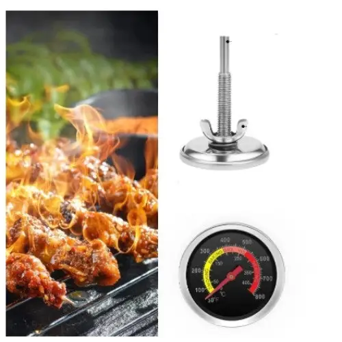 thermometre-de-cuisson-pour-four-599