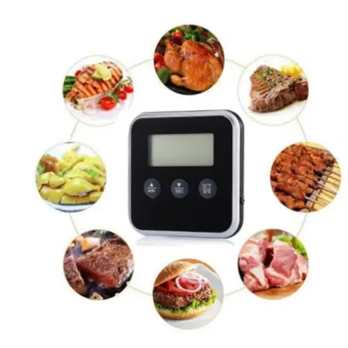 thermometre-de-cuisson-professionnel-249