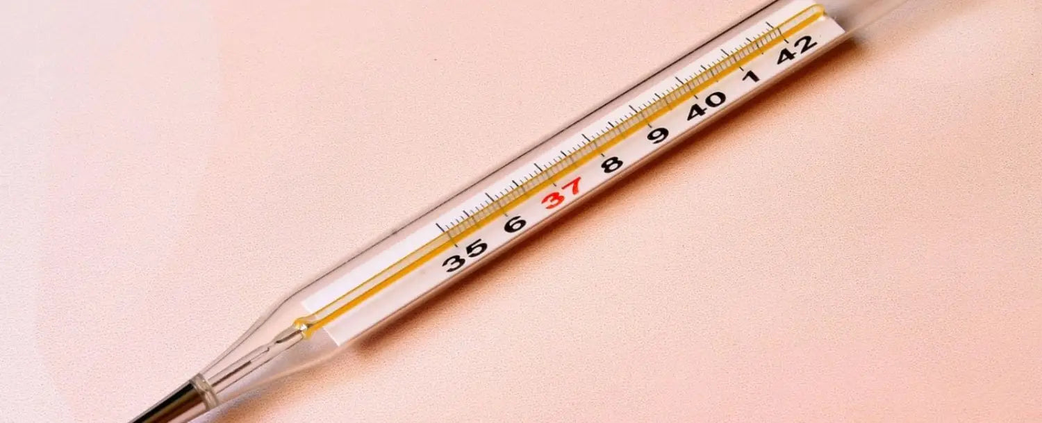 Le Thermomètre à Mercure Médical Affiche La Température Du Corps
