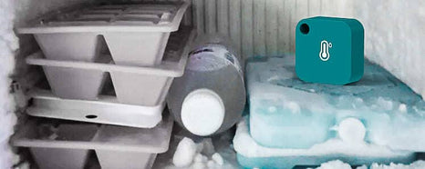 Comment installer un Thermomètre Frigo Connecté