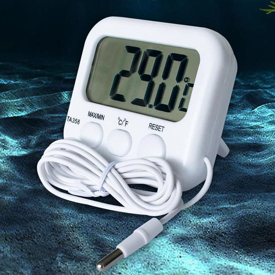 Thermomètre Piscine Avec Sonde