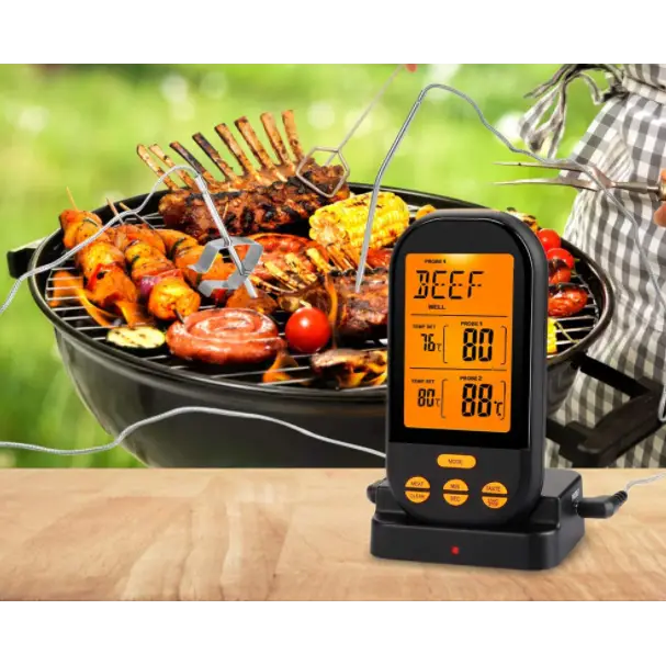 Thermomètre Barbecue en Acier Inoxydable, Thermomètres pour