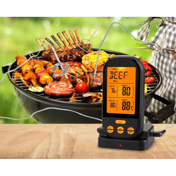 Thermomètre BBQ - Thermomètre BBQ Sonde de cuisson des aliments pour viande  Thermomètre avec minuterie Outil de mesure de la température : :  Cuisine et Maison