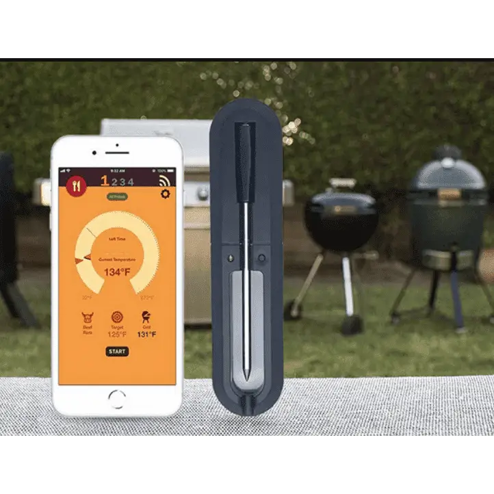 thermometre-connecte-barbecue-249